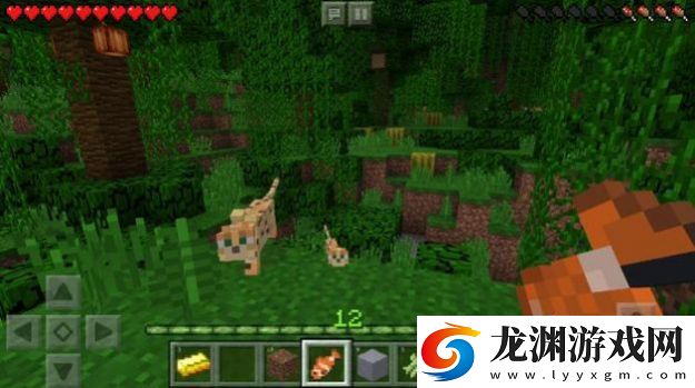 mc1.20版本更新版