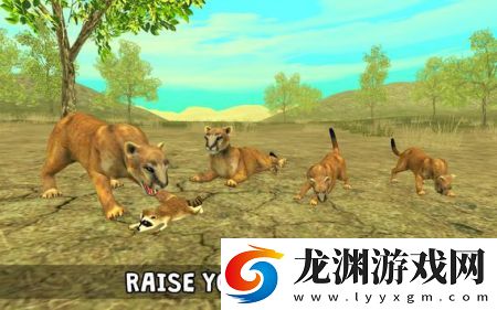 野生美洲獅模擬