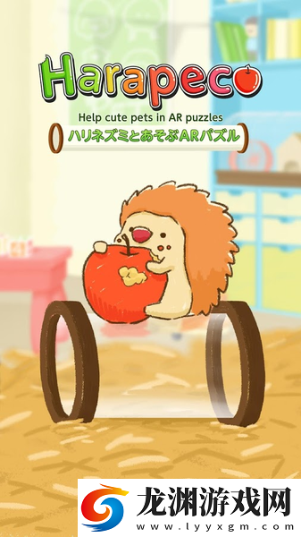 小刺猬的AR迷宮