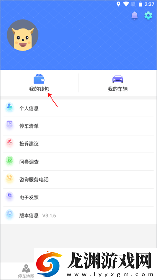 武漢停車app下載