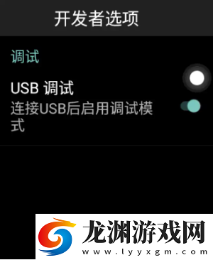 華強北開發者下載