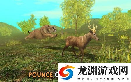 野生美洲獅模擬