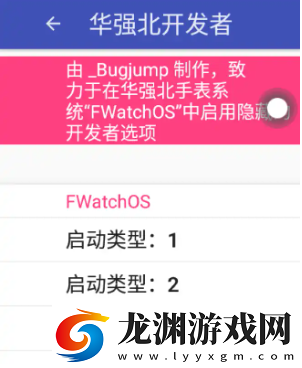 華強北開發者下載