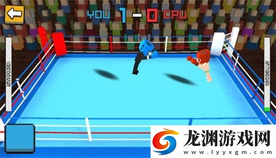 立體拳擊3D