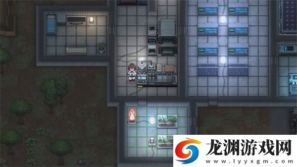 秩序新曙光