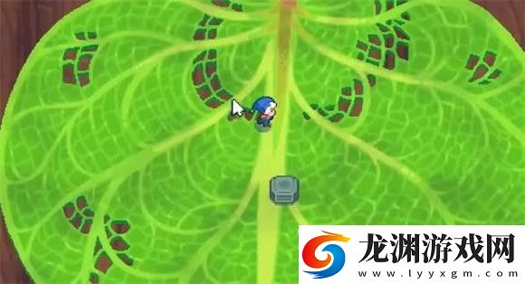 月光石島最新版