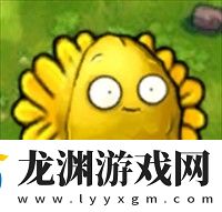 PVZ高數帶我飛二創版2.6.1