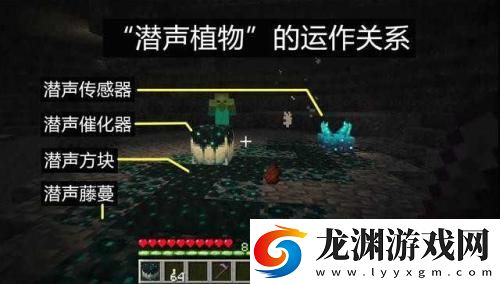 我的世界基巖版1.19正式版