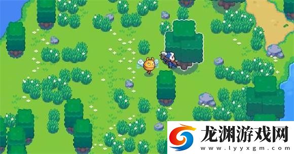 月光石島最新版
