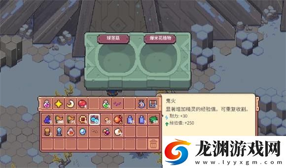 月光石島最新版