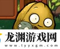 PVZ高數帶我飛二創版2.6.1