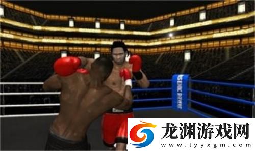 拳擊之夜4中文版