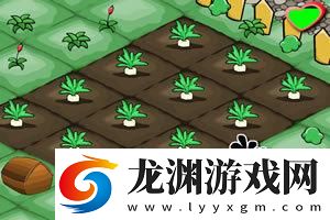 農場種蔬菜賺錢