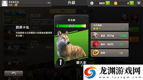 狩獵沖突